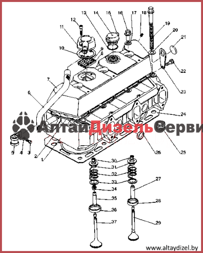 Каталог запчастей МТЗ-320: головка цилиндров и клапаны